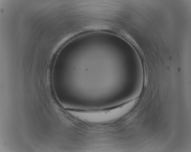 X0000077360387200611101644