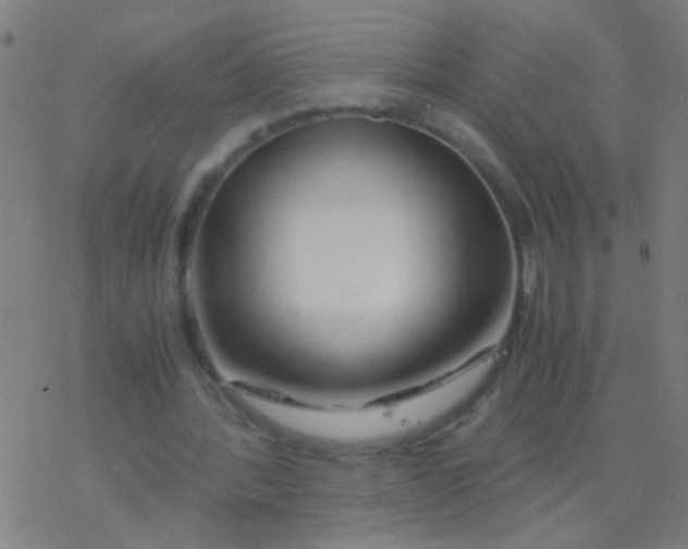 X0000077360388200611101644