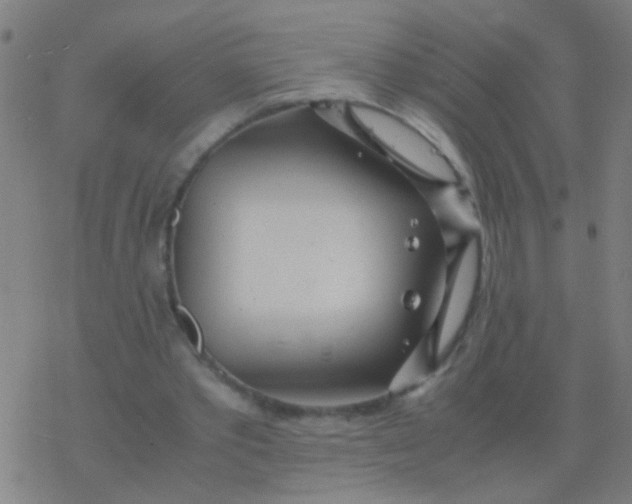 X0000077360389200611101644