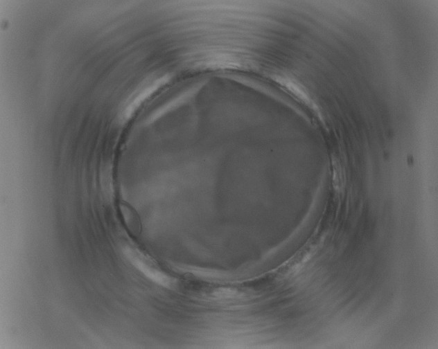 X0000077360390200611101644