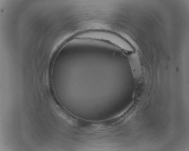 X0000077360391200611101644