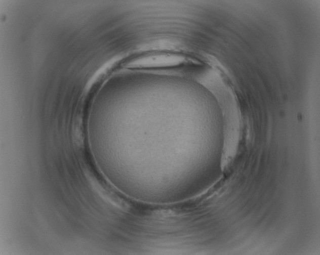 X0000077360392200611101644