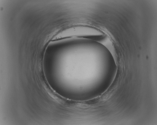 X0000077360393200611101644