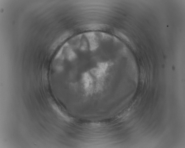 X0000077360394200611101644