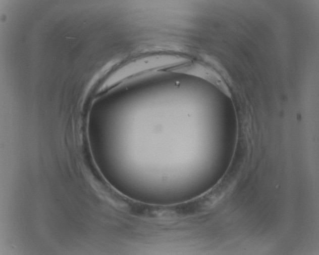 X0000077360395200611101644