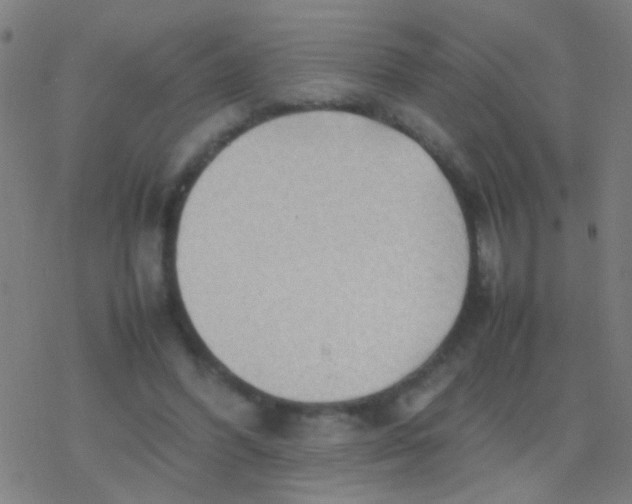 X0000077360396200611101644