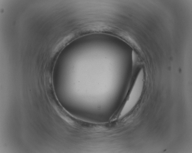 X0000077360397200611101644