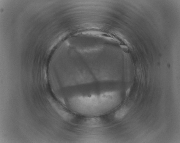 X0000077360398200611101644