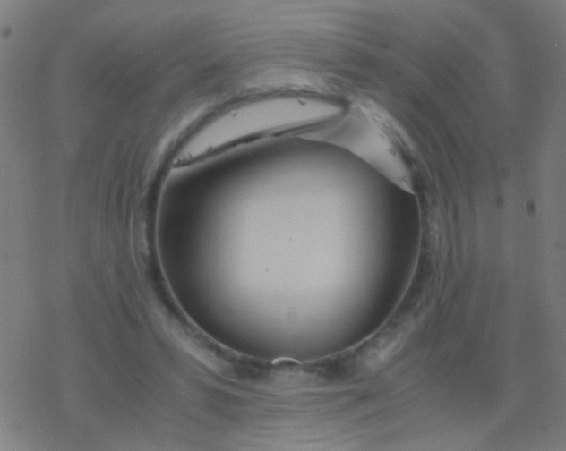 X0000077360399200611101644