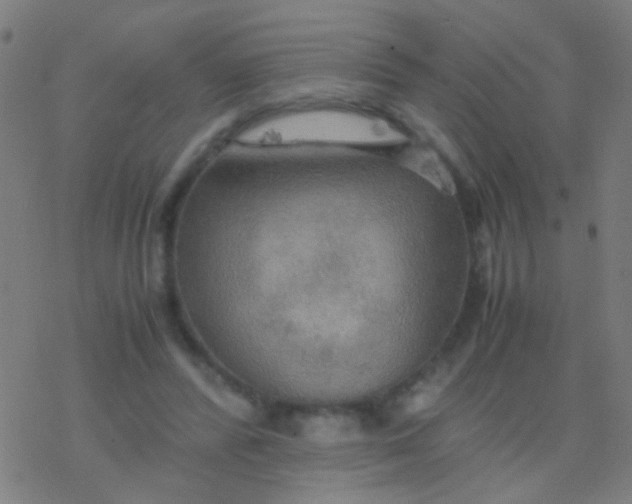 X0000077360400200611101644