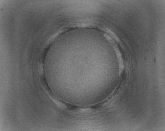 X0000077360401200611101644