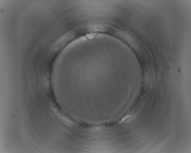 X0000077360402200611101644