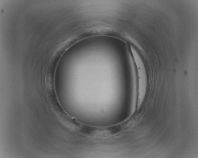 X0000077360403200611101644