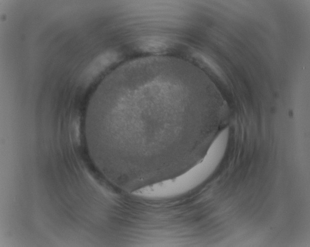 X0000077360404200611101644