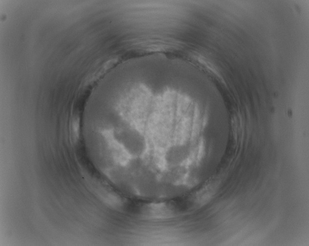 X0000077360406200611101644