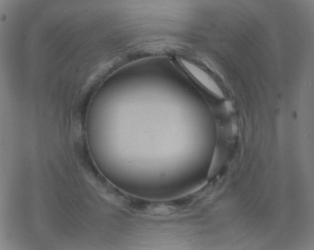 X0000077360407200611101644