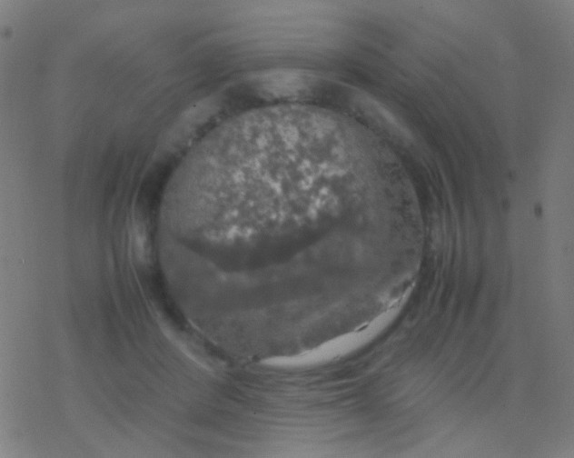 X0000077360408200611101644