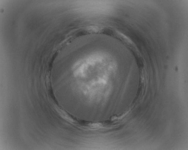 X0000077360409200611101644