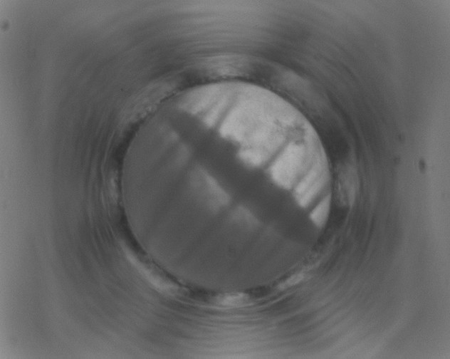 X0000077360410200611101644