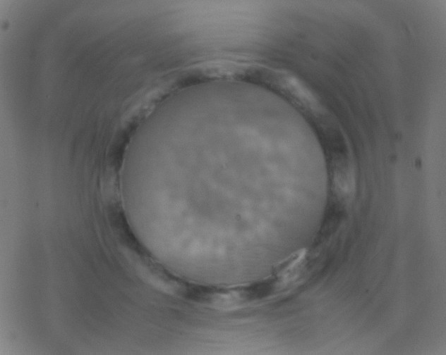 X0000077360411200611101644