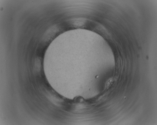 X0000077360412200611101644