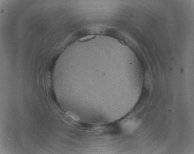 X0000077360413200611101644