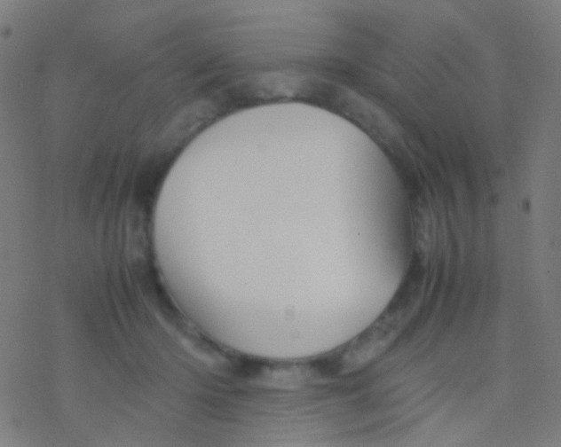 X0000077360414200611101644