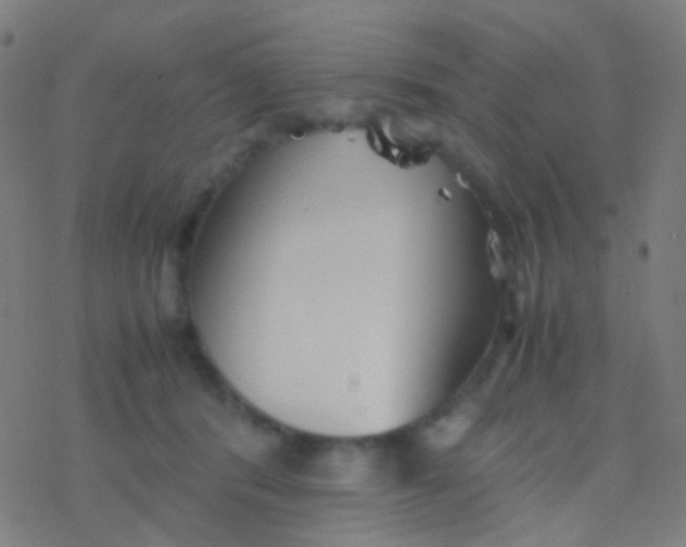 X0000077360416200611101644