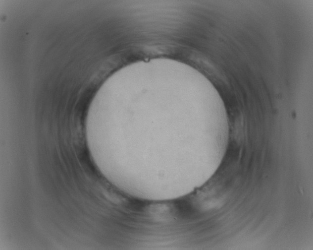 X0000077360418200611101644