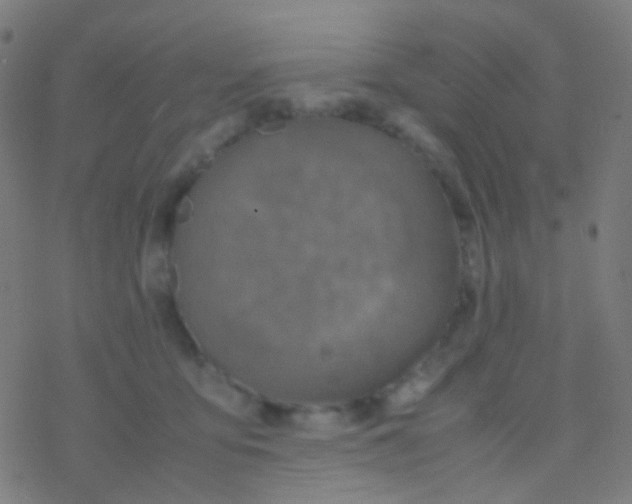 X0000077360419200611101644