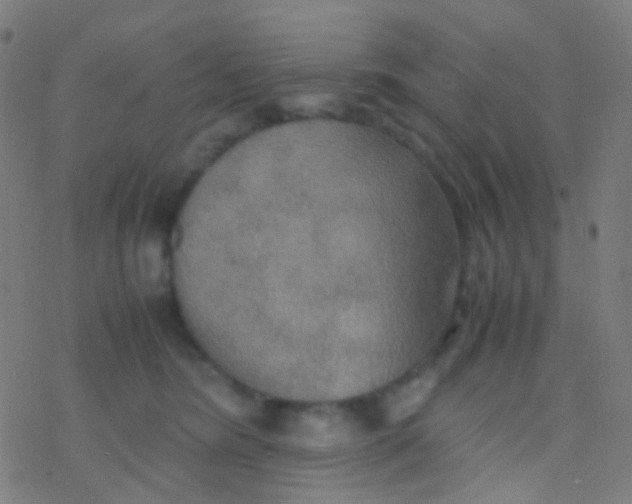 X0000077360420200611101644