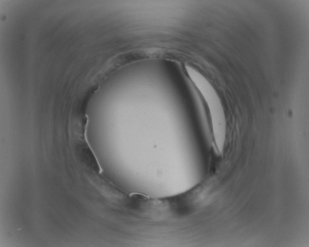 X0000077360421200611101644