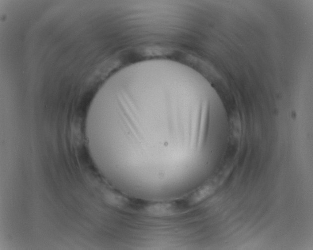 X0000077360422200611101644