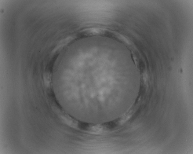 X0000077360423200611101644