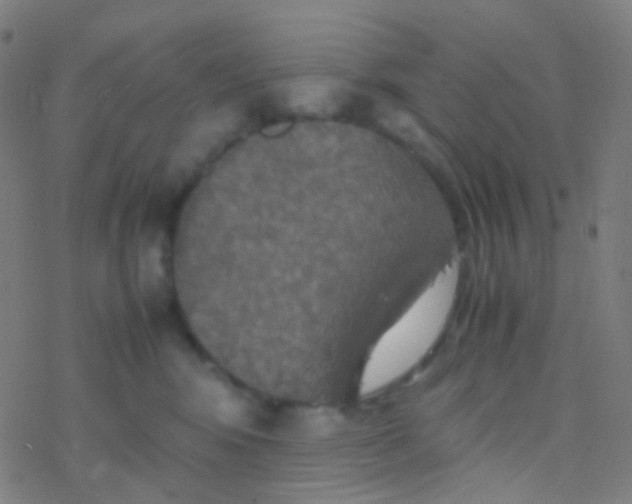 X0000077360424200611101644