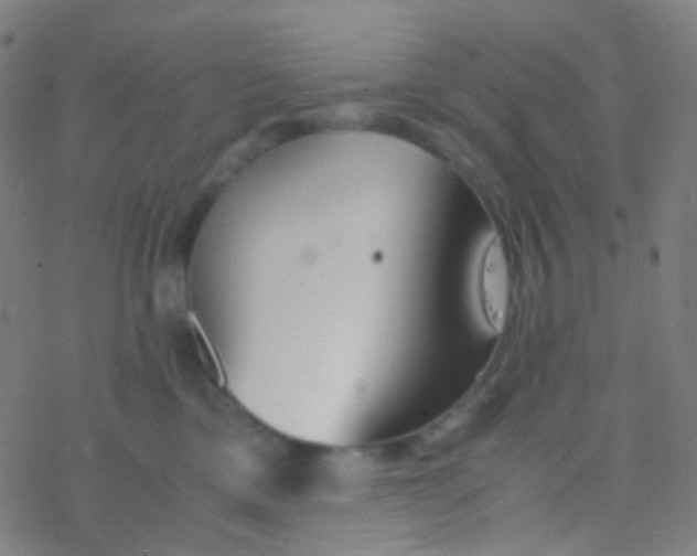 X0000077360425200611101644