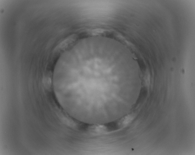 X0000077360427200611101644