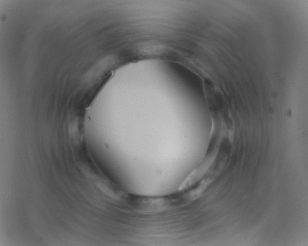 X0000077360428200611101644