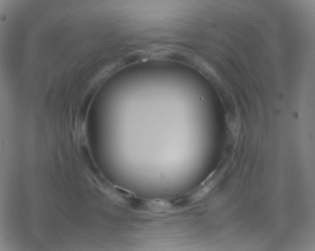 X0000077360429200611101644