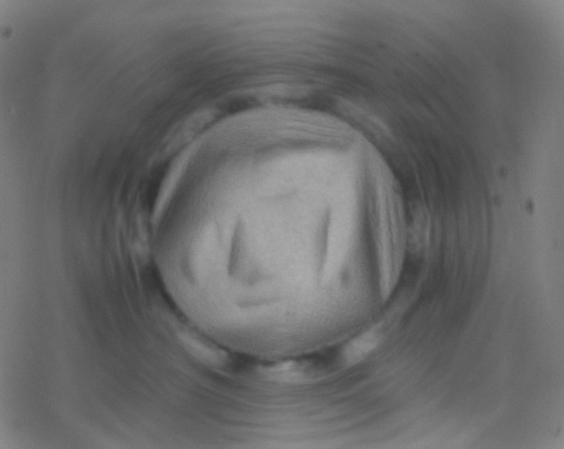 X0000077360430200611101644