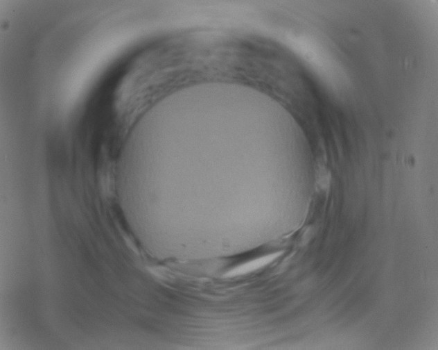 X0000077360431200611101644