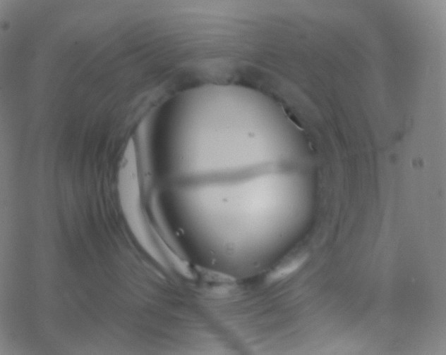 X0000077360432200611101644