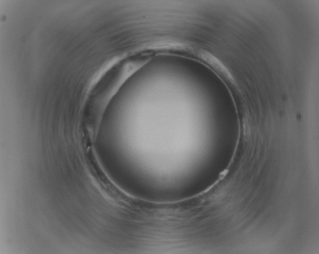 X0000077360436200611101643