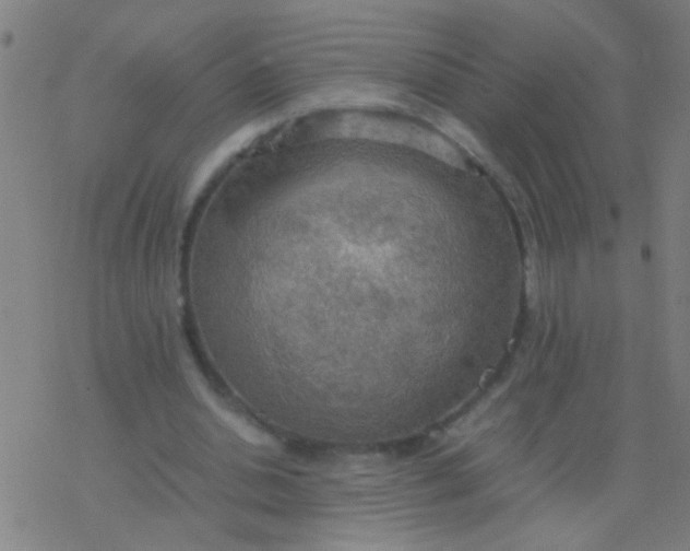 X0000077360438200611101643