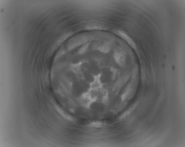 X0000077360441200611101643