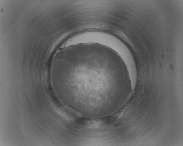 X0000077360444200611101643