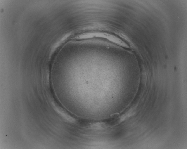 X0000077360446200611101643