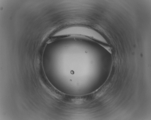 X0000077360448200611101643