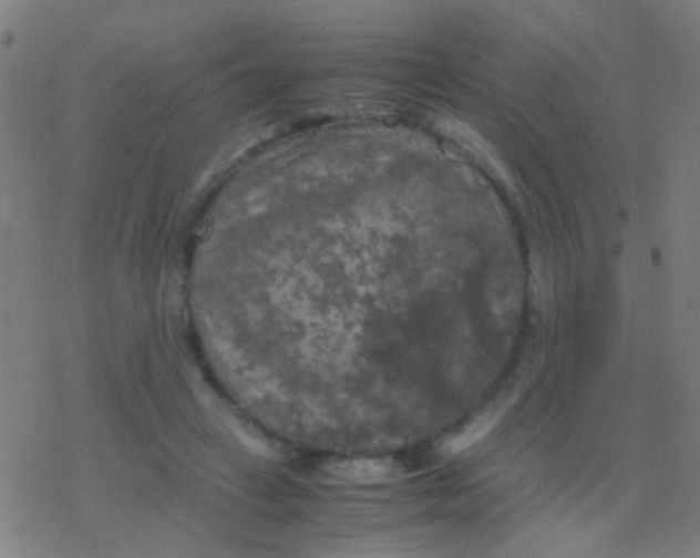 X0000077360449200611101643