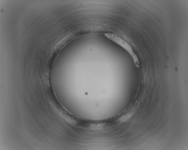 X0000077360450200611101643